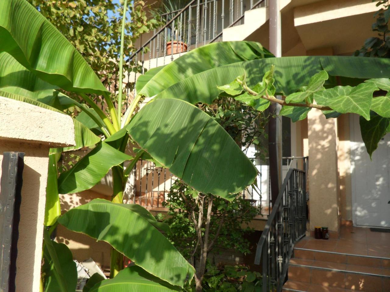Misko'S Guest House 스코페 외부 사진