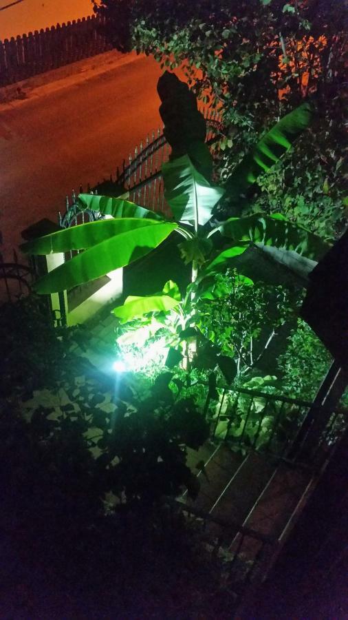 Misko'S Guest House 스코페 외부 사진